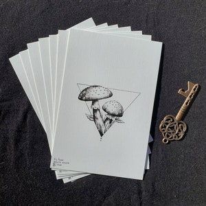 Mushroom Art Print - Fly Agaric