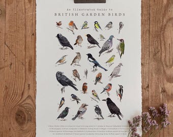 A5 / A4 British Garden Vögel Gemälde - Eco Fine Art Print
