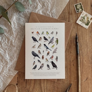 Tarjeta ecológica con ilustración de aves de jardín británico para cualquier ocasión, cumpleaños, campo, vida silvestre