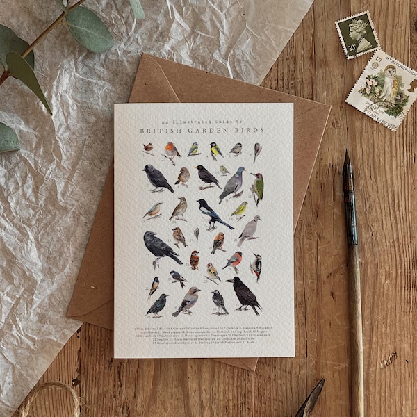 British Garden Birds Illustration Eco Friendly Card Any Occasion, Birthday, Country, Wildlife
