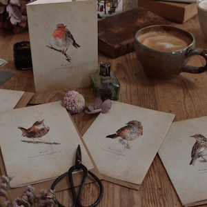 Confezione di uccelli marroni britannici da 5 carte natura acquerello vintage per ogni occasione