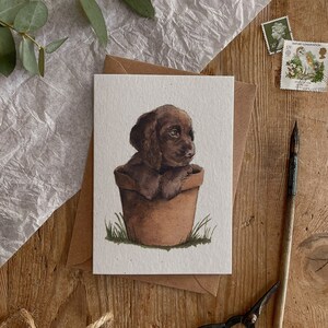 Lindo Cocker Chocolate Spaniel Cachorro En Maceta Feliz Cumpleaños Tarjeta Ecológica 100% Reciclado Stock de tarjetas