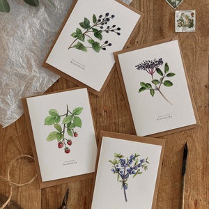 Pacote British Berry com 4 cartões de natureza em aquarela para qualquer ocasião
