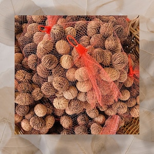 May include: A close-up of a basket filled with brown, round, textured walnuts. The walnuts are arranged in a net-like bag and are tied with red string.