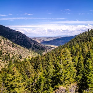 May include: A scenic landscape featuring a valley between two mountains covered in green trees. The sky is blue with scattered clouds. The scene evokes a sense of natural beauty and tranquility.
