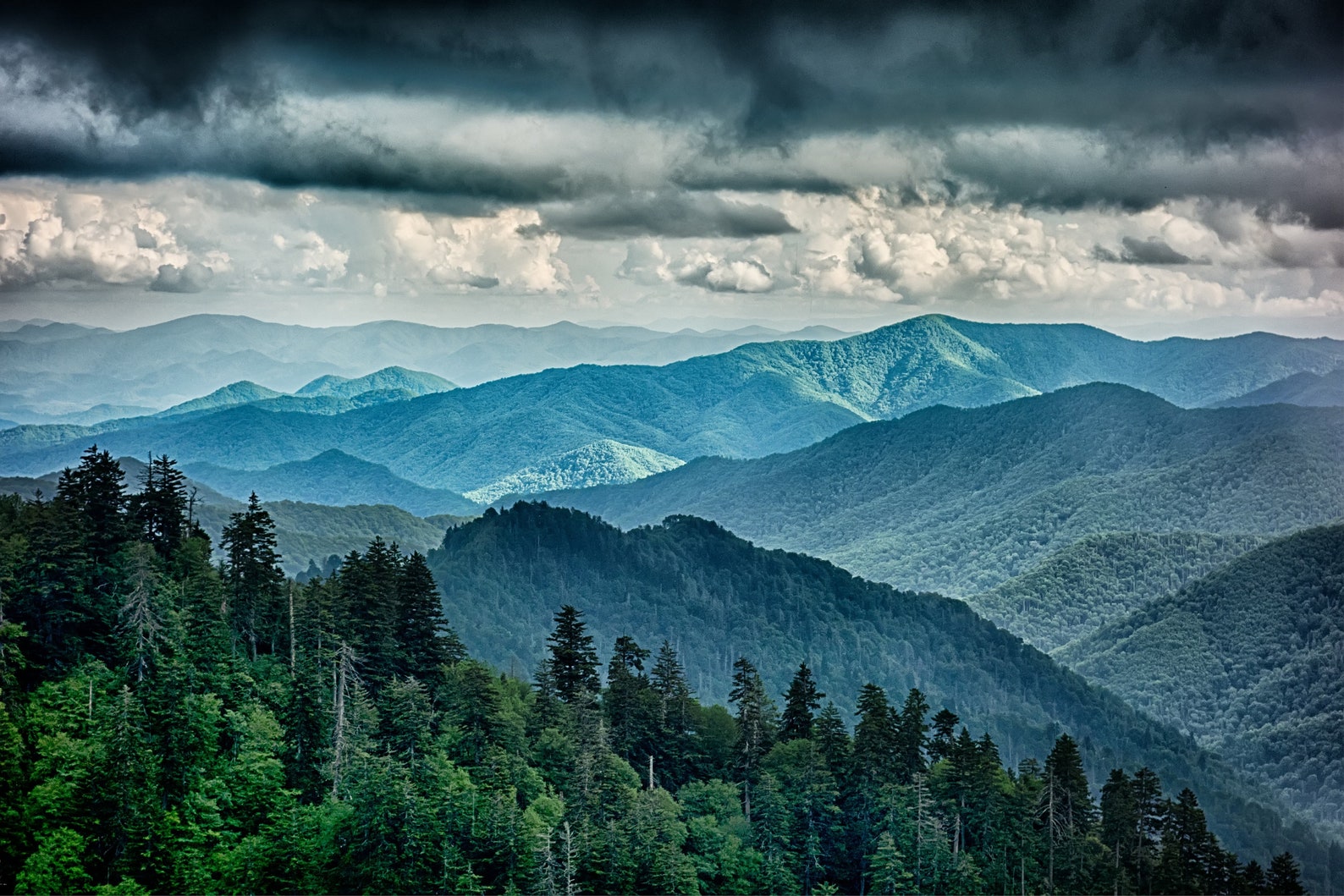 Fantastic Scene Along Appalachian Trail in the Great Smoky Etsy