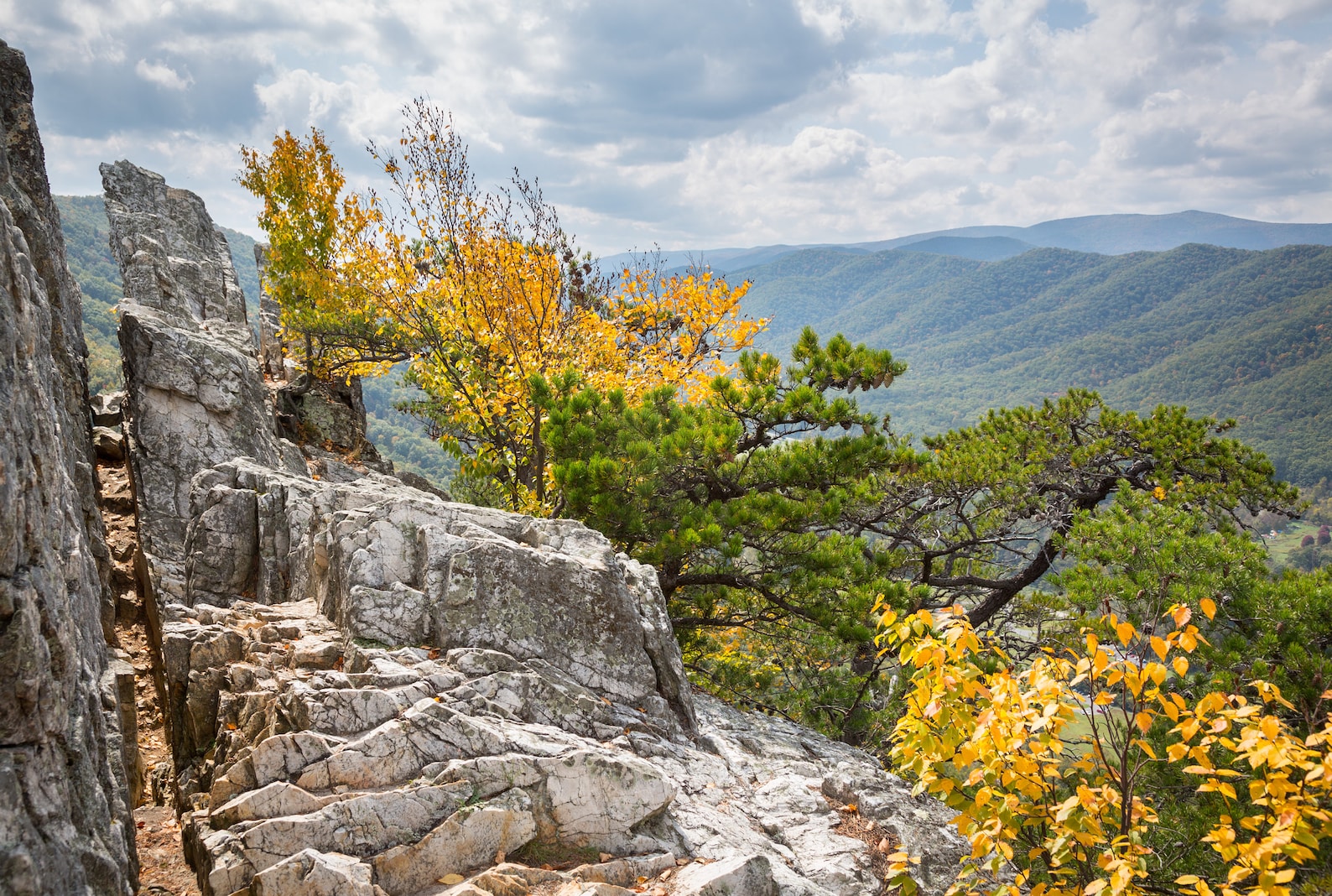 West Virginia Mountains Scenic View Canvas West Virginia Etsy
