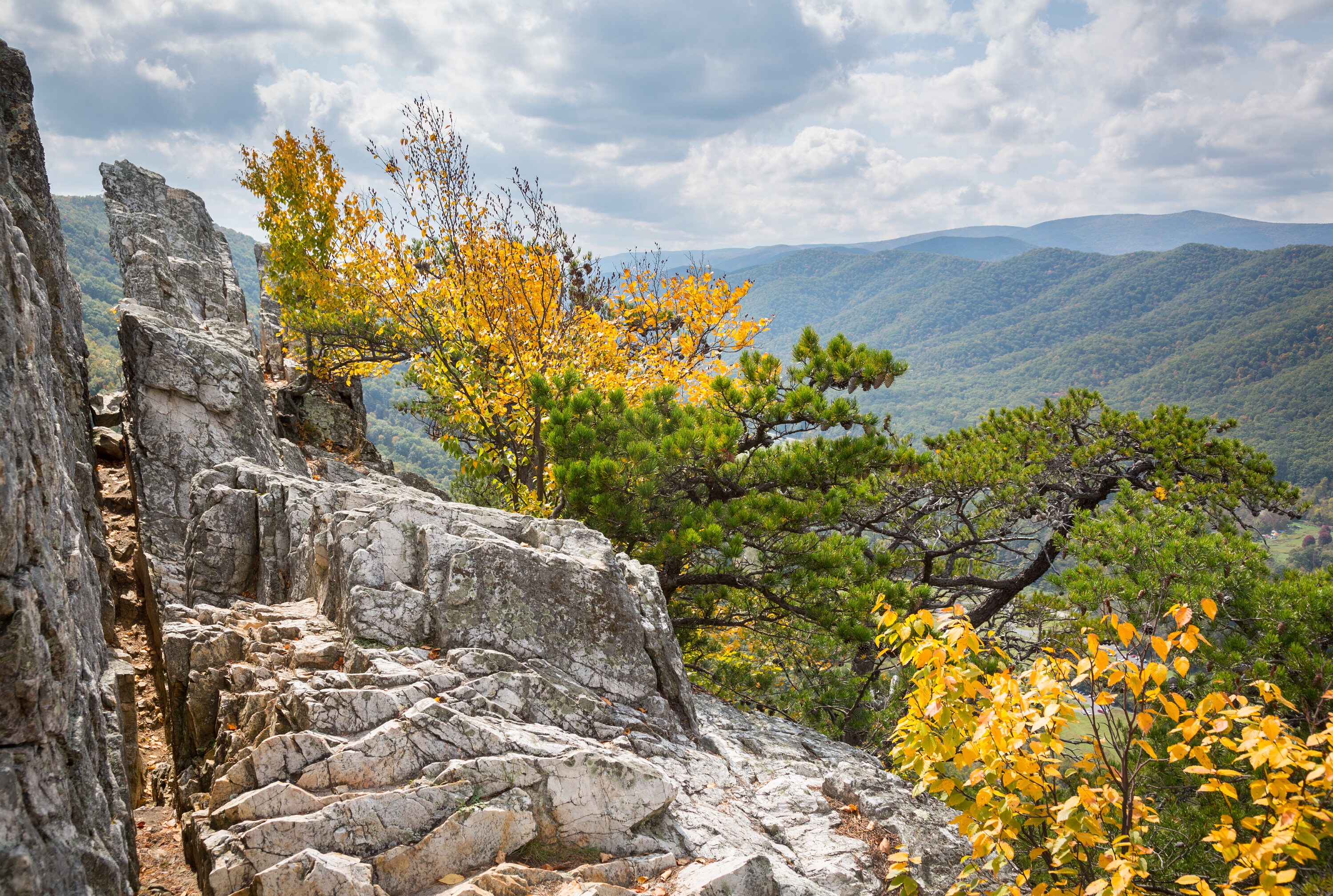 West Virginia Mountains Scenic View Canvas West Virginia Etsy