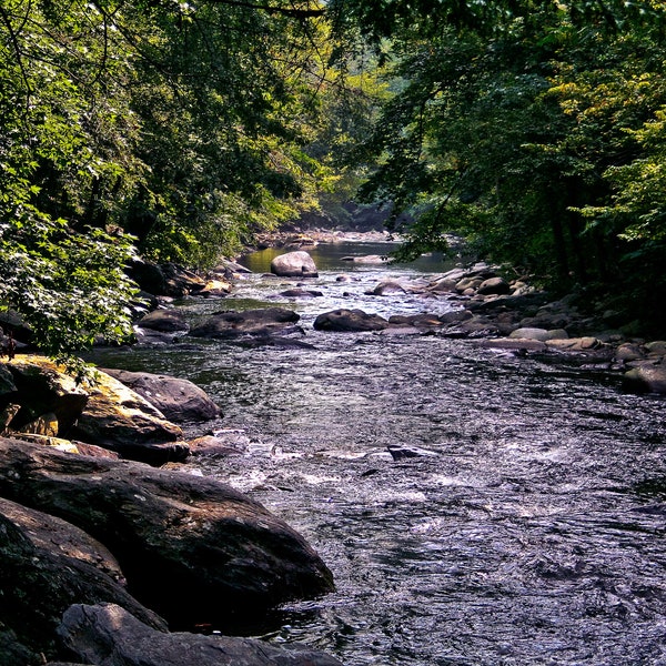 Cullasaja River Gorge in Macon County Forms in the Highlands Plateau Joins the little Tennessee River, North Carolina Canvas Print - CW 5200