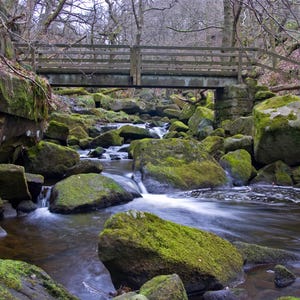 Padley Gorge Bridge in Peak District National Park, England with a Babbling Stream Called Burbage Brook Flowing Canvas Print - CW 4802