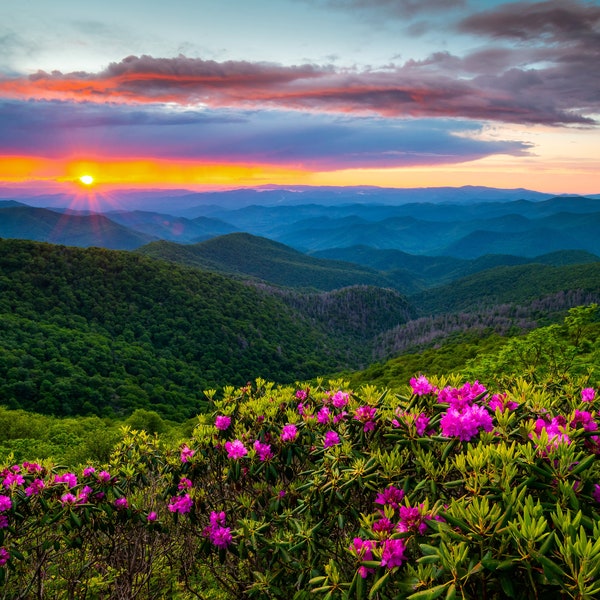 Ashville North Carolina Blue Ridge Parkway Spring Flowers Scenic Landscape in the Southern Appalachian Mountains Canvas Print - CW 2745