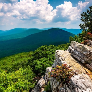May include: A set of three ceramic mugs with a speckled, matte finish. The mugs are in shades of cream, light gray, and dark gray. Each mug has a simple, minimalist design and a rounded handle. The mugs are likely for coffee or tea.