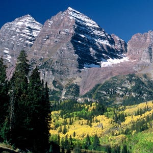 Colorado Rocky Mountains Canvas Print: Aspen Tree Forest Decor