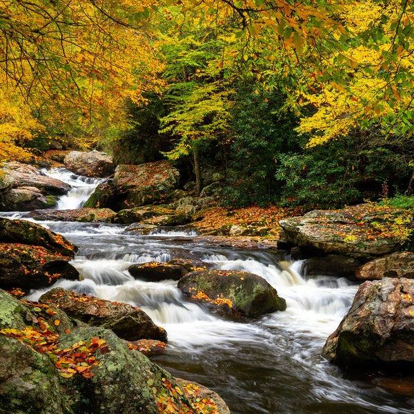 North Carolina Autumn Cullasaja River, a Tributary of the Little Tennessee River Canvas Print - Blue Ridge Parkway Scenic Landscape CW 3290