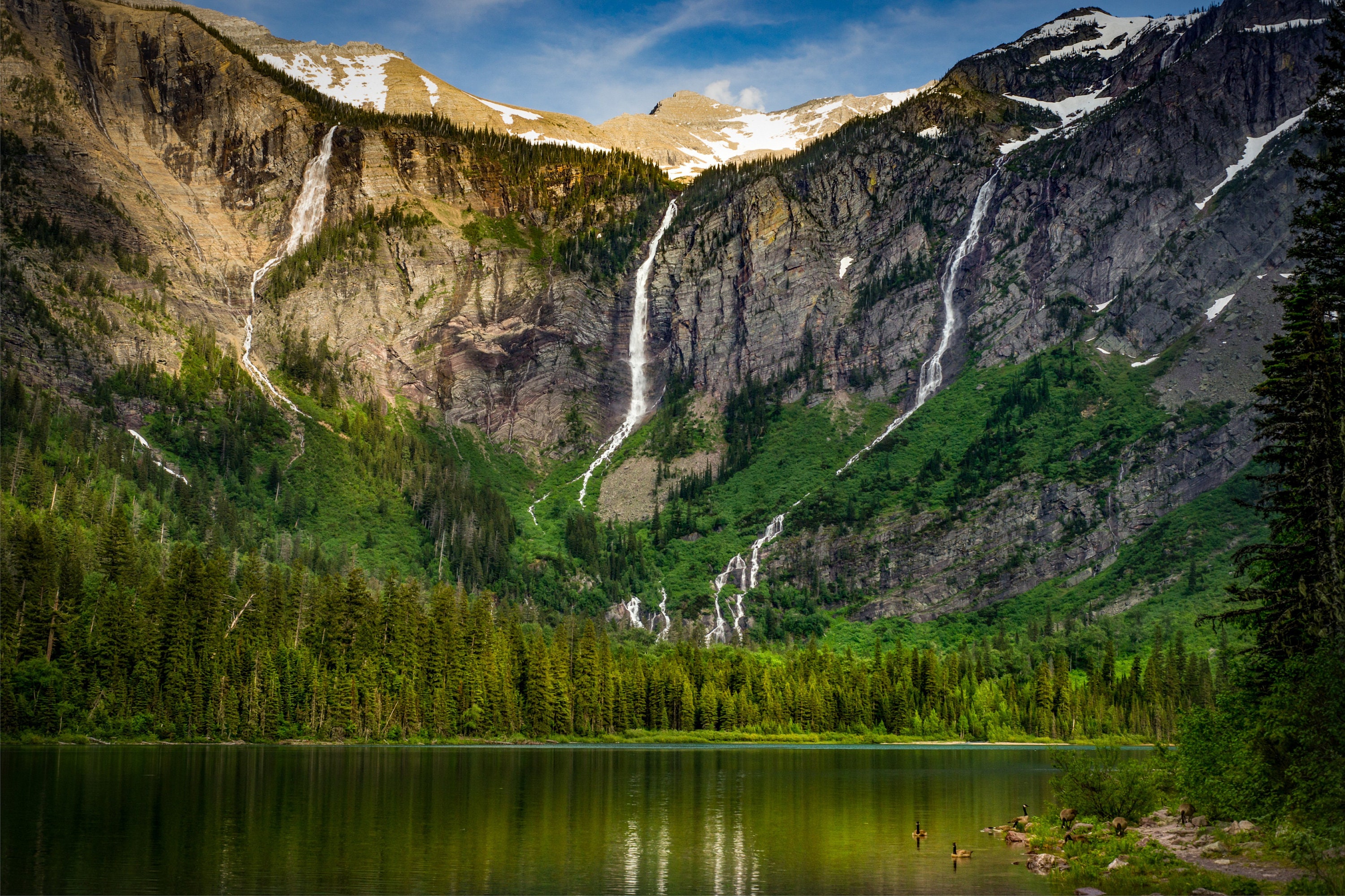 Avalanche Lake in Glacier National Park Montana Canvas Print Etsy