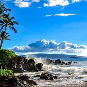 May include: A tropical coastal scene featuring a rocky shoreline with crashing white waves, vibrant green foliage, and tall palm trees under a bright blue sky with scattered white clouds and a distant island silhouette on the horizon.