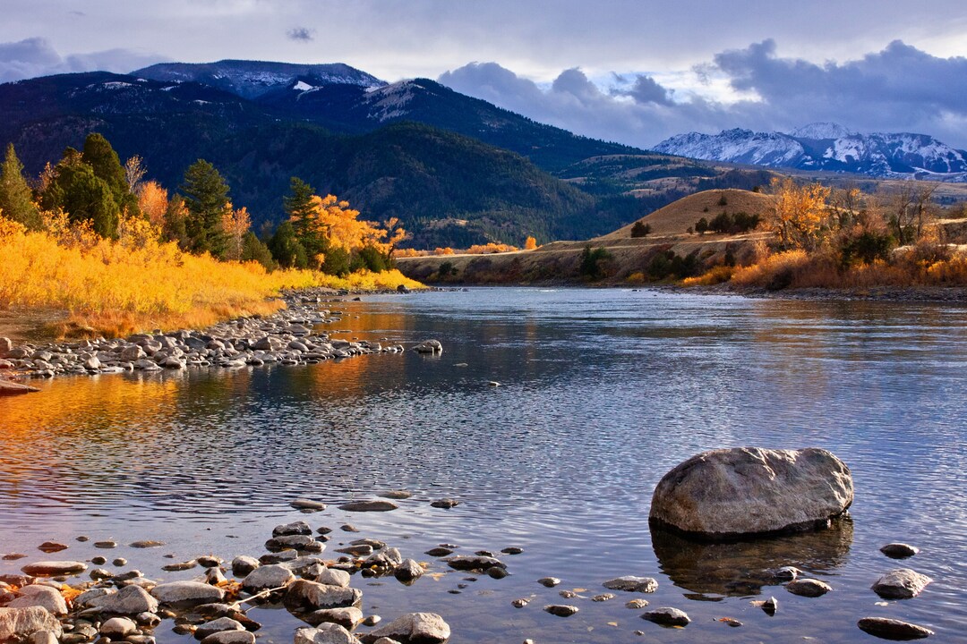 Gardiner River a Tributary of Yellowstone River With Fall Foliage at