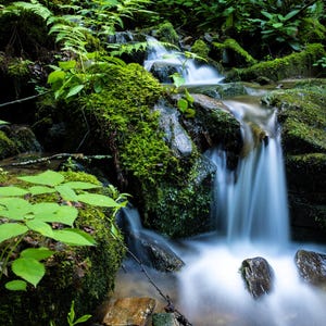Waterfall in Great Smoky Mountains Lower Cascade of Mingo Falls in Cherokee, North Carolina Canvas Print - Waterfall Wall Art - CW 7322