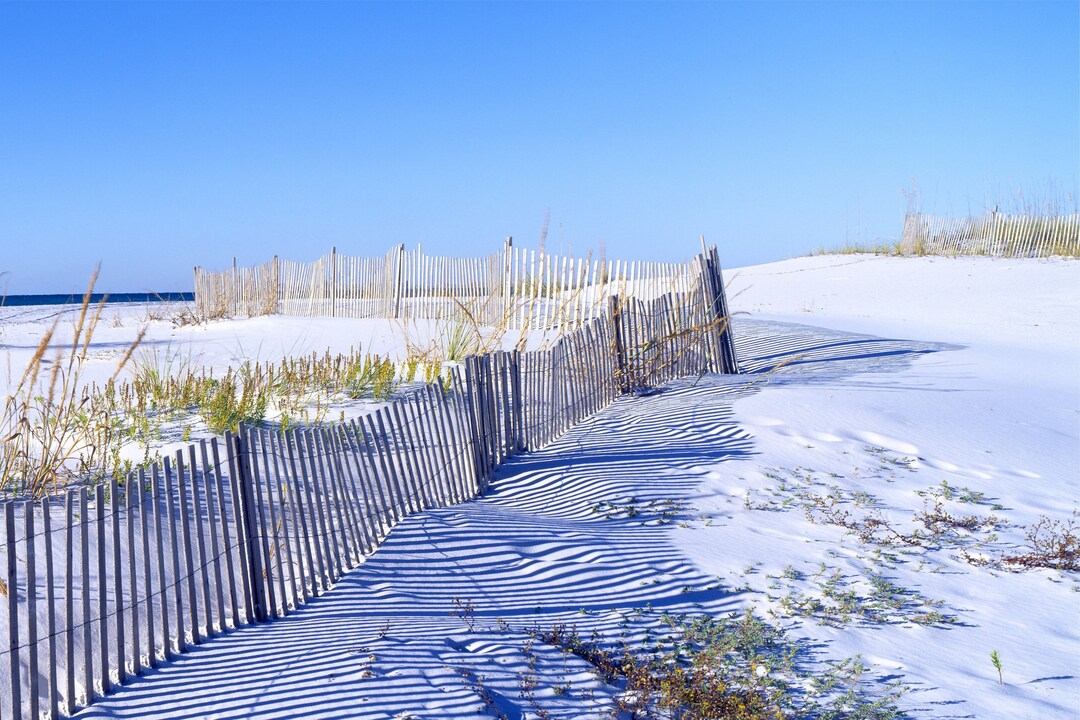 Santa Rosa Island Near Pensacola Florida Sea Oats & Fence - Etsy Santa Rosa Island Near Pensacola Florida Sea Oats & Fence - Etsy