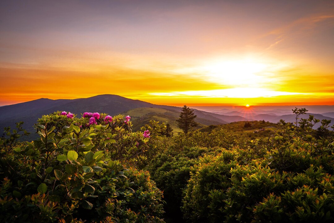 Unaka Blue Ridge Roan Mountain State Park Unaka Range of the Appalachian Mountains Very ...