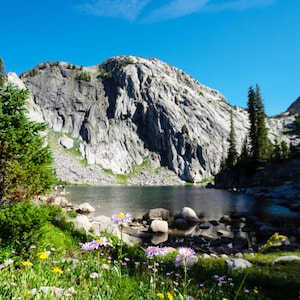May include: A landscape view of a calm mountain lake surrounded by rocky cliffs and evergreen trees under a clear blue sky. In the foreground, a patch of green grass features small purple and yellow wildflowers growing near the water's edge.