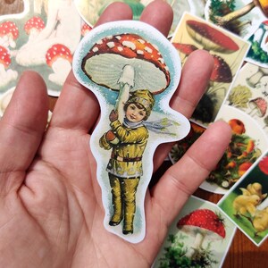 16 Piece Vintage Mushroom Stickers, Victorian Stickers Ephemera, Mushroom Fairycore, Junk Journal Supplies, Mushroom Illustration, Fairy Art