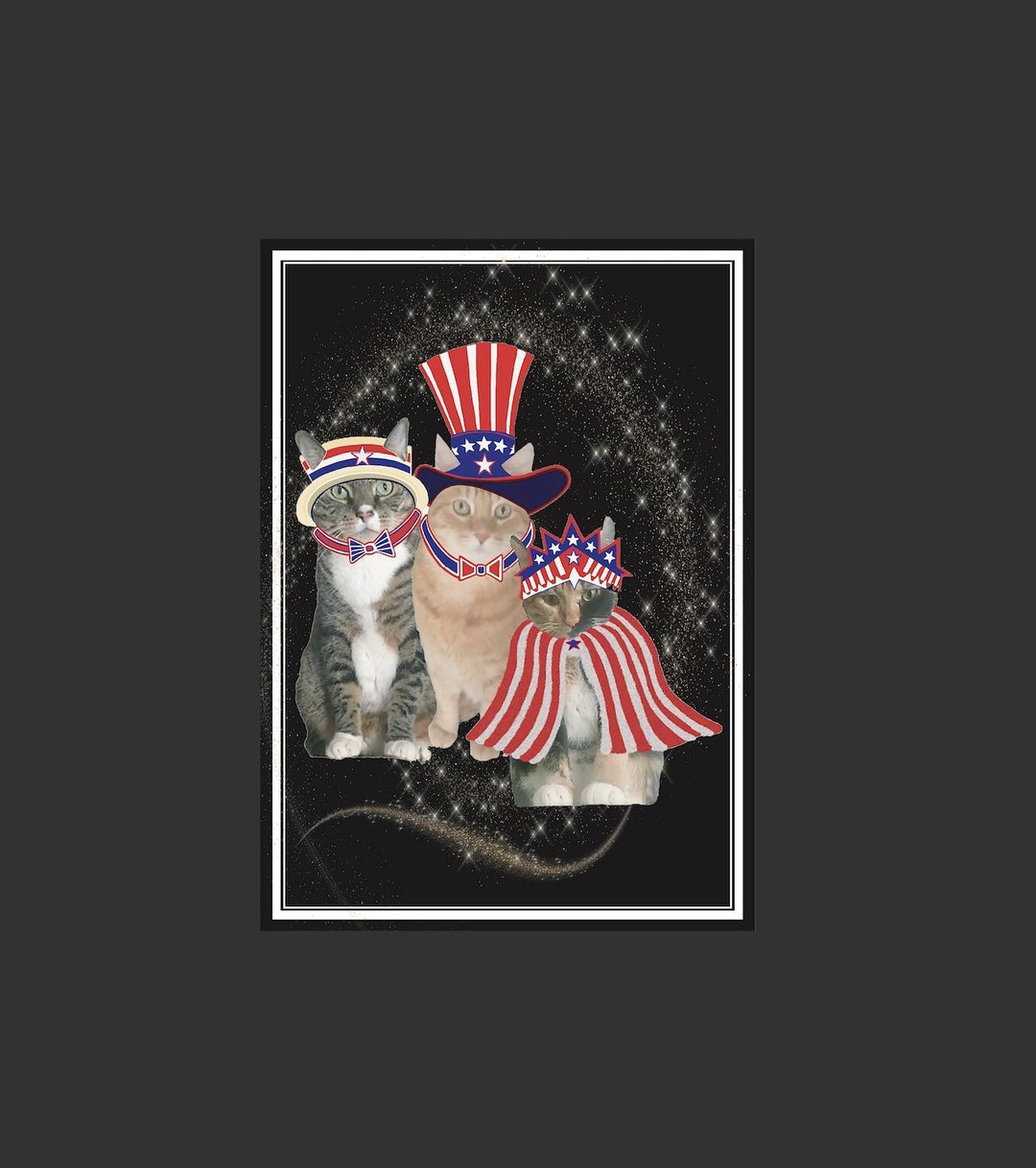4th of july cat tee shirts