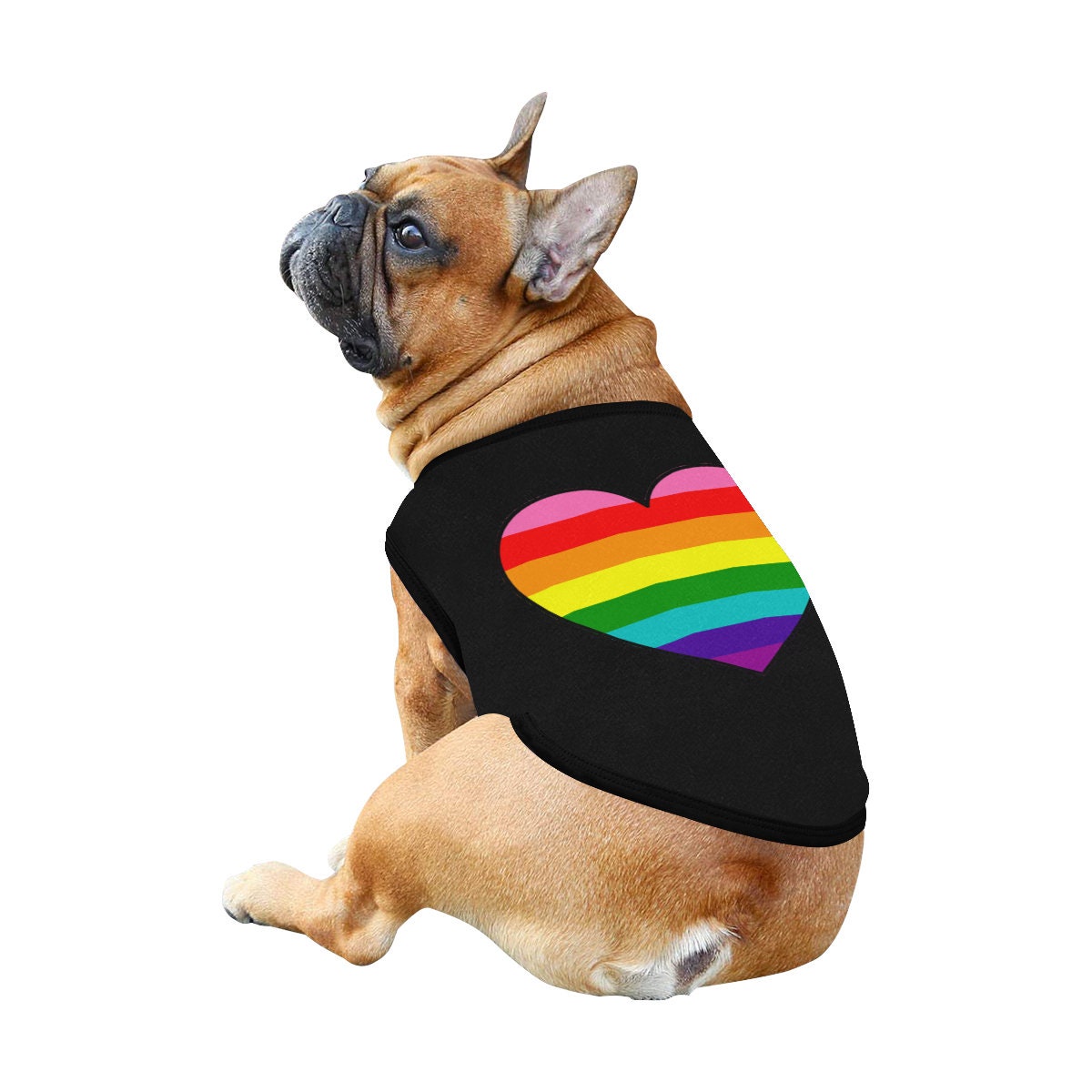 pride dog shirt