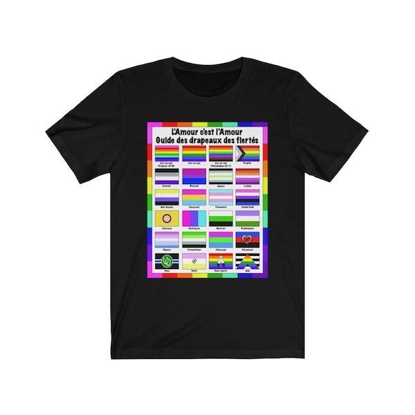 Unisex Bella+ Canvas 3001 t-shirt, L'Amour c'est l'Amour t-shirt, Guide to pride flags, LGBTQ flags, rainbow flags, LGBTQIA gift, Made USA