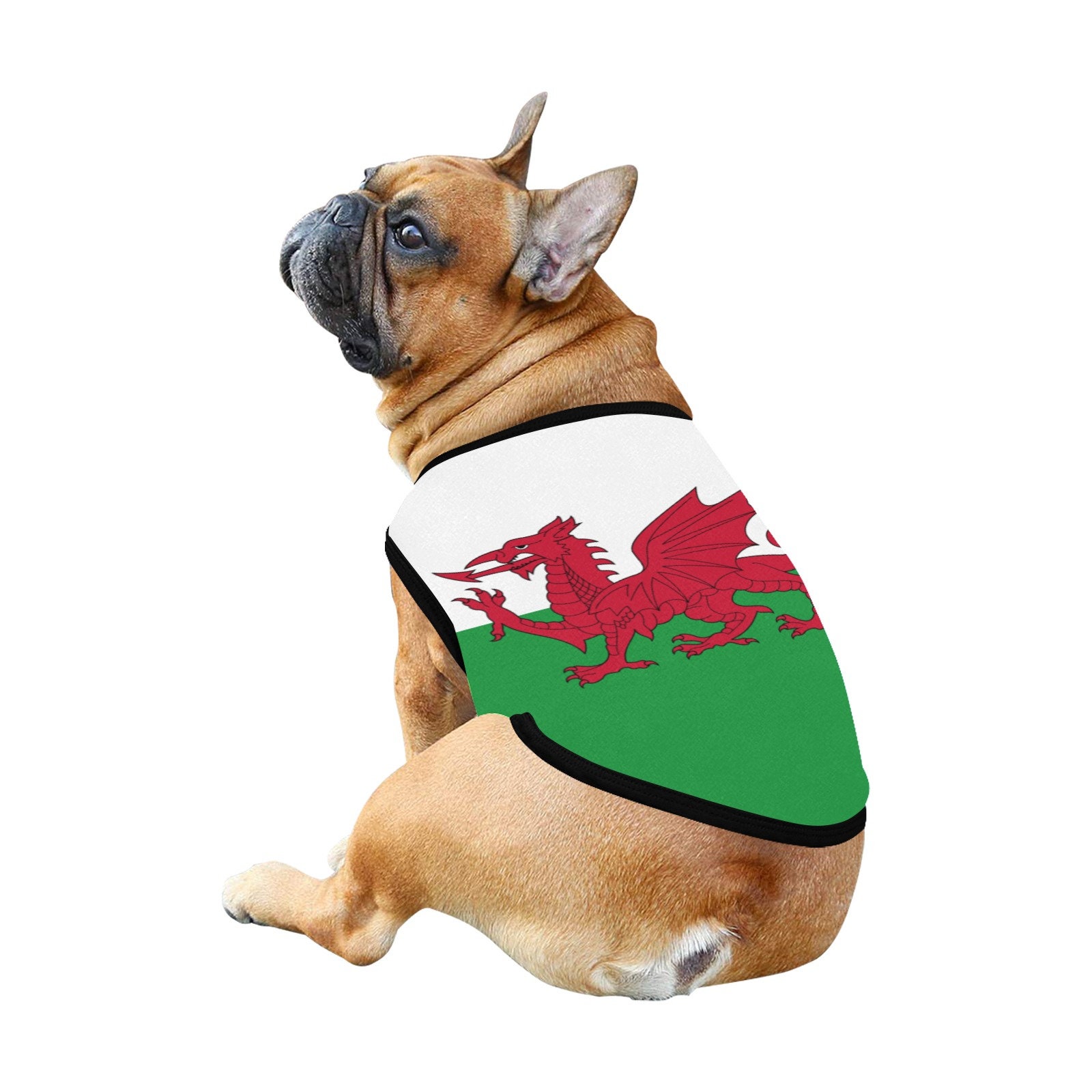 Dog england rugby shirt hotsell