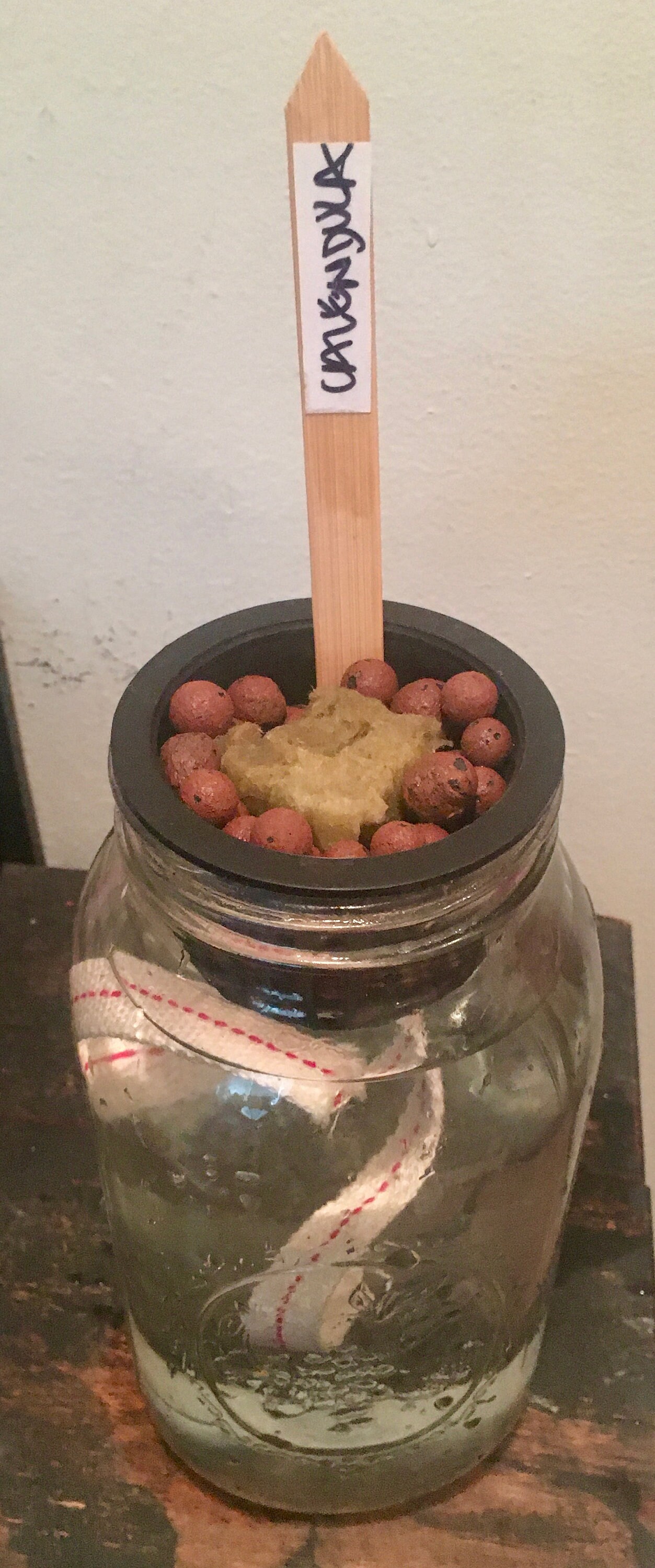 DIY Indoor Mason Jar Hydroponics Aquaponics Aquarium Self Etsy UK