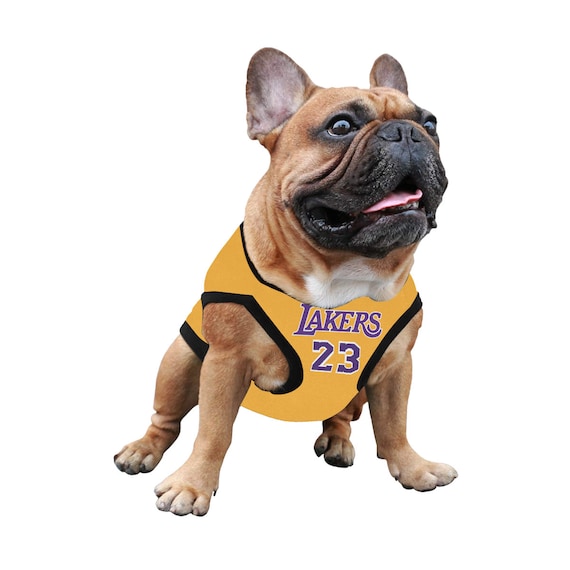 lebron dog jersey