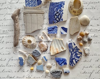 Una raccolta di reperti sulla spiaggia e nel fango, frammenti di ceramica, legni e conchiglie, pacchetto multimediale misto