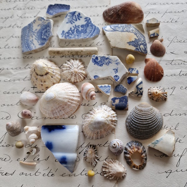 A collection of beach and mudlarking finds, collection no3,  shell's,  pottery shards,  mixed media bundle,  beachcombing treasures,