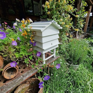 May include: A white wooden beehive with a gabled roof sits on a wooden surface, surrounded by vibrant purple and yellow flowers and lush green foliage. The hive has multiple stacked sections and a small entrance hole.