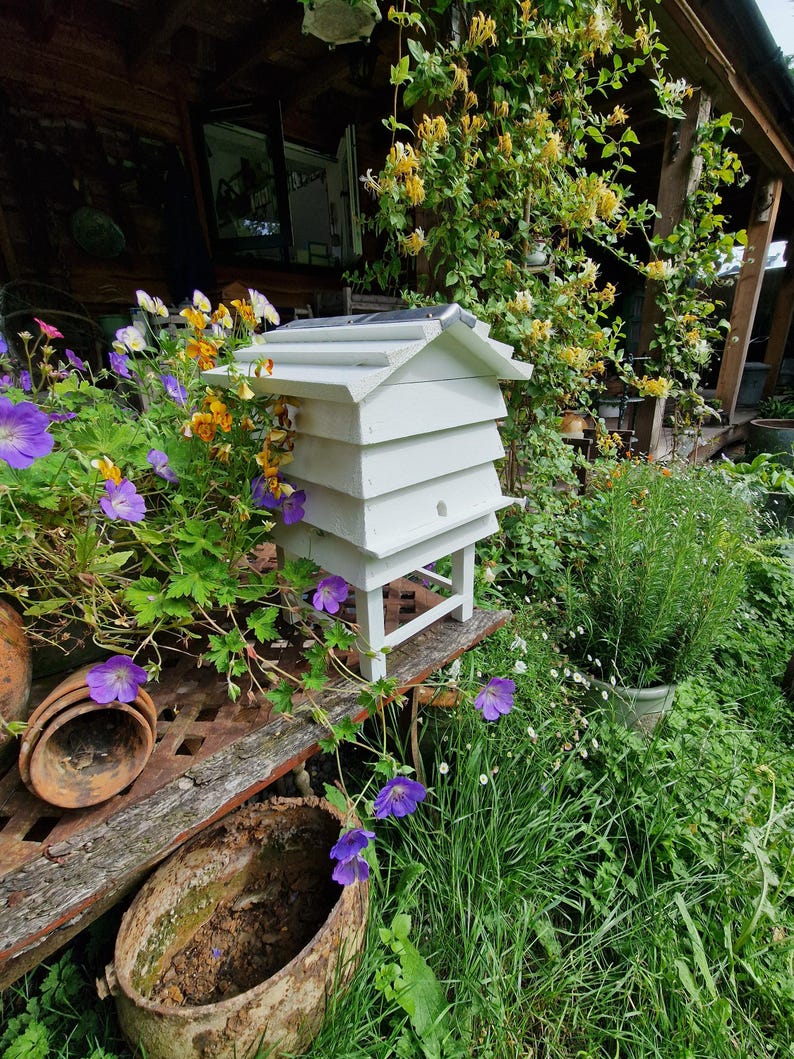 May include: A white wooden beehive with a gabled roof sits on a wooden surface, surrounded by vibrant purple and yellow flowers and lush green foliage. The hive has multiple stacked sections and a small entrance hole.