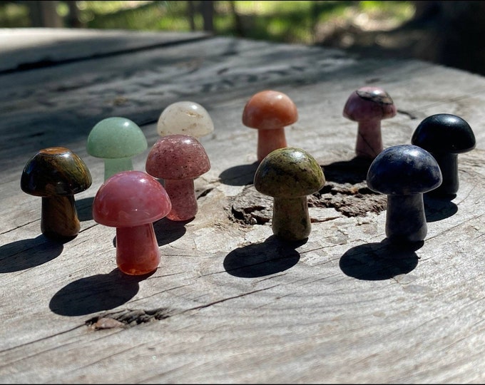 Assorted Mini Mushroom, Crystal Gemstone Gift, Mystery Crystal, Mystery Pick, Carved Stone Mushroom, Mushroom Pendants, Jewelry