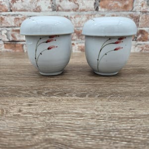 May include: Two white ceramic salt and pepper shakers with matching lids. Each shaker features a hand-painted design of red floral accents and black stems. The shakers are displayed on a wooden surface.
