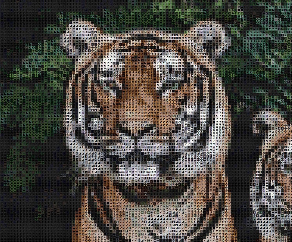 Pair of TIGERS Counted Cross Stitch PDF Pattern, Tiger KING Instant