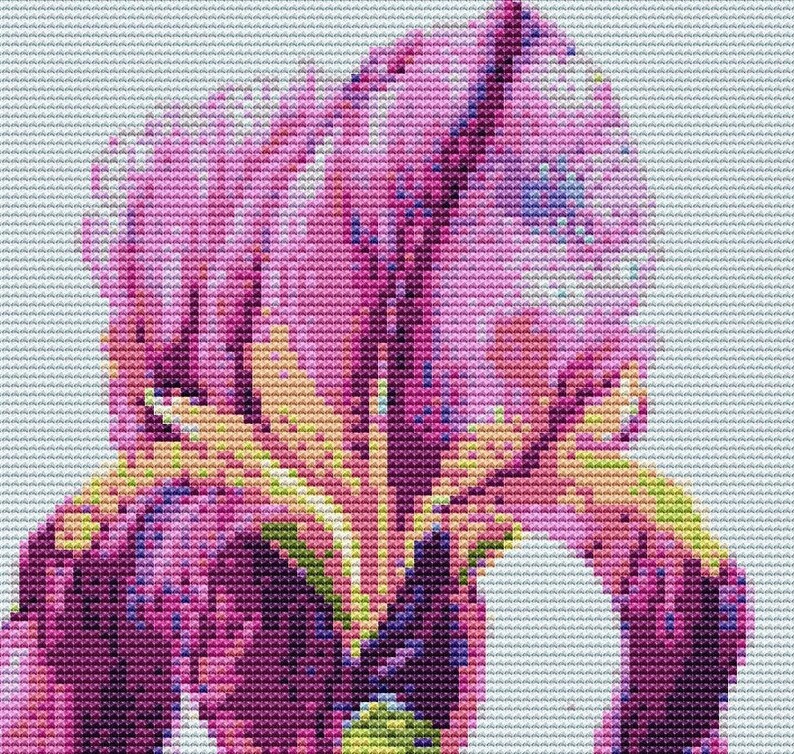 IRIS FLOWER Counted Cross Stitch PDF Pattern Impressionist Etsy