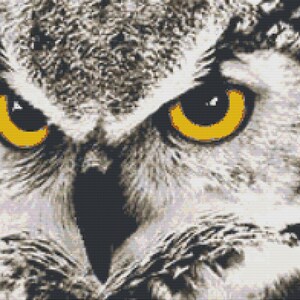 May include: Close-up of an owl's face with bright yellow eyes. The owl's feathers are a mix of gray and white.