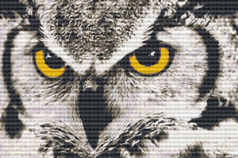 May include: Close-up of an owl's face with bright yellow eyes. The owl's feathers are a mix of gray and white.