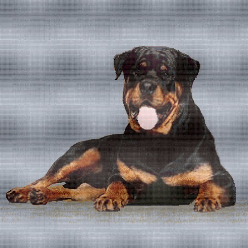 ROTTWEILER DOG Panting Puppy Counted Cross Stitch PDF Pattern Etsy