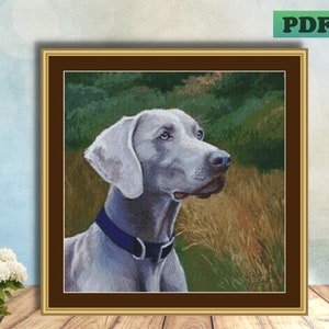 May include: A cross-stitch pattern of a Weimaraner dog with a blue collar, standing in a field of tall grass.