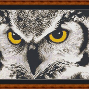 May include: Close-up of an owl's face with bright yellow eyes. The owl's feathers are gray and white, and its beak is black.