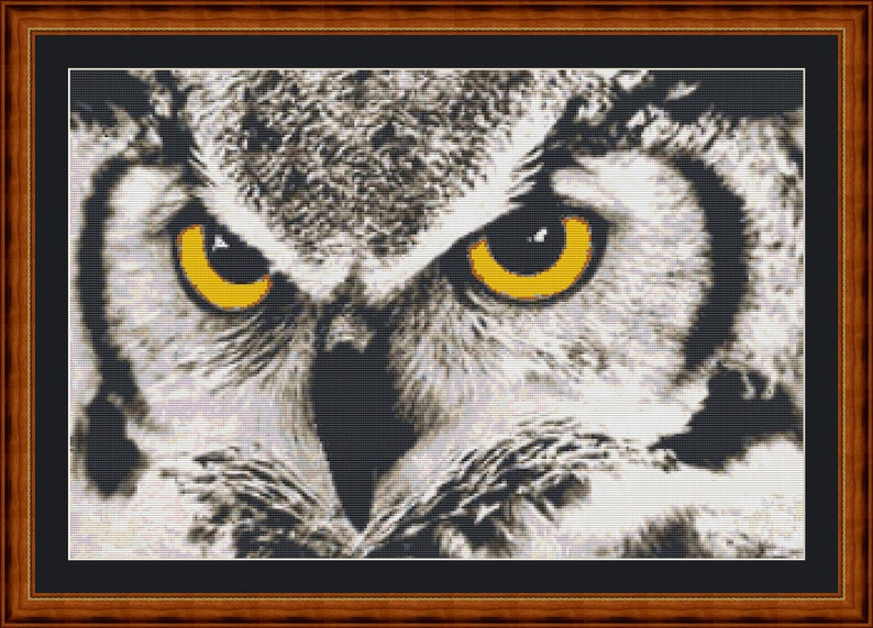 May include: Close-up of an owl's face with bright yellow eyes. The owl's feathers are gray and white, and its beak is black.