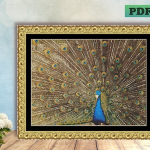 PEACOCK BIRD Colorful Feathers Plumes Blue Counted Cross Stitch PDF Pattern Instant Digital Download X Stitch Needlework Wall Art Home Decor