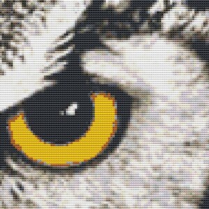 May include: Close-up of a black and yellow animal eye. The eye is surrounded by white fur.