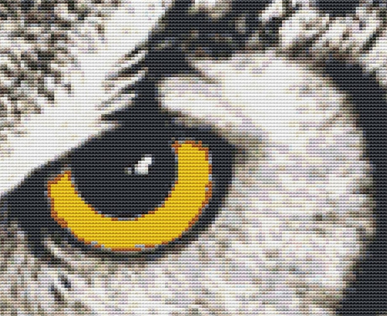 May include: Close-up of a black and yellow animal eye. The eye is surrounded by white fur.