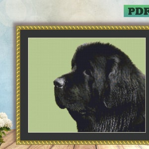 Newfoundland dog 2025 slippers